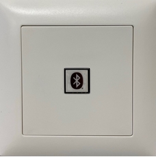Bild von proDT® BI UP ws | Unterputzanschluss mit Bluetooth Input auf Dante, EDIZIOdue, weiss