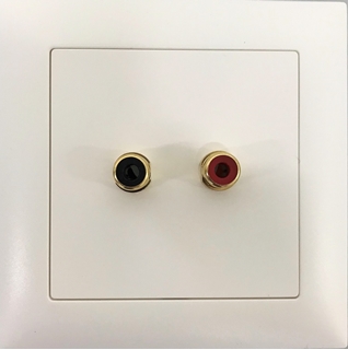 Bild von proDT CO UP ws | Unterputzanschluss proDT® mit 2x Cinchbuchsen Output von Dante, EDIZIOdue, weiss