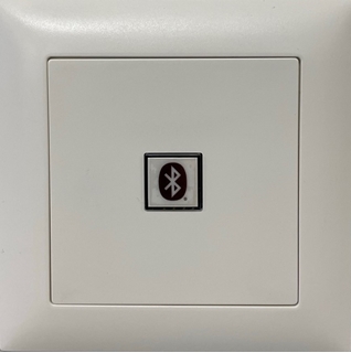 Bild von proDT BI UP ws | Unterputzanschluss proDT® mit Bluetooth Input auf Dante, EDIZIOdue, weiss