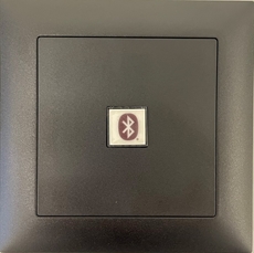 Bild von proDT BI UP sw | Unterputzanschluss proDT® mit Bluetooth Input auf Dante, EDIZIOdue, schwarz