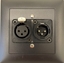 Bild von proDT XI/O UP sw | Unterputzanschluss proDT® mit XLR Input female/Output male auf/von Dante, EDIZIOdue, schwarz