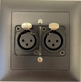 Bild von proDT 2XI UP sw | Unterputzanschluss proDT® mit 2x XLR Input female auf Dante, EDIZIOdue, schwarz