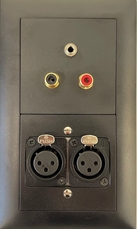 Bild von proDT 2XI/CI/3.5O UP sw | Unterputzanschluss proDT® mit 2x XLR Input female, 2x Cinch Input und 3.5mm Klinkenbuchse Output auf/von Dante, EDIZIOdue, schwarz