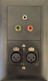 Bild von proDT 2XI/CI/3.5O UP sw | Unterputzanschluss proDT® mit 2x XLR Input female, 2x Cinch Input und 3.5mm Klinkenbuchse Output auf/von Dante, EDIZIOdue, schwarz