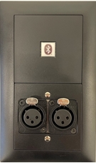 Bild von proDT BI/2XI UP sw | Unterputzanschluss proDT® mit Bluetooth Input und 2x XLR Input female auf Dante, EDIZIOdue, schwarz