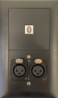 Bild von proDT BI/2XI UP sw | Unterputzanschluss proDT® mit Bluetooth Input und 2x XLR Input female auf Dante, EDIZIOdue, schwarz