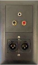 Bild von proDT CI/3.5O/2XO UP sw | Unterputzanschluss proDT® mit 2x Cinch Input und 3.5mm Klinkenbuchse, 2x XLR Output male auf/von Dante, EDIZIOdue, schwarz