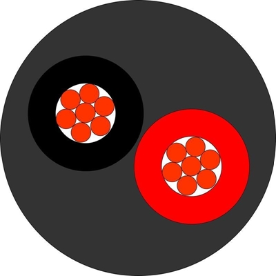 Bild von SP225FRNC-C | Speaker 2x2.5qmm, FRNC-C