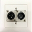 Bild von proDT 2XO UP ws | Unterputzanschluss proDT® mit 2x XLR Output male von Dante, EDIZIOdue, weiss