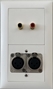 Bild von proDT 2XI/CI UP ws | Unterputzanschluss proDT® mit 2x XLR Input female und 2x Cinch Input auf Dante, EDIZIOdue, weiss