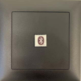 Bild von proDT BI UP sw | Unterputzanschluss proDT® mit Bluetooth Input auf Dante, EDIZIOdue, schwarz