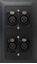 Bild von proDT 4XI UP sw | Unterputzanschluss proDT® mit 4x XLR Input female auf Dante, EDIZIOdue, schwarz