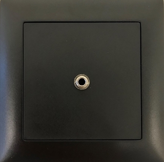 Bild von proDT 3.5I UP sw | Unterputzanschluss proDT® mit 3.5mm Klinkenbuchse Input auf Dante, EDIZIOdue, schwarz
