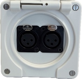 Bild von proDT 2XI UP IP ws | Unterputzanschluss proDT® mit 2x XLR Input female auf Dante, EDIZIOdue IP21, weiss