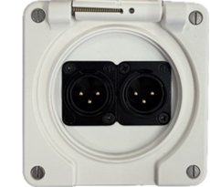 Bild von proDT 2XO UP IP ws | Unterputzanschluss proDT® mit 2x XLR Output male von Dante, EDIZIOdue IP21, weiss