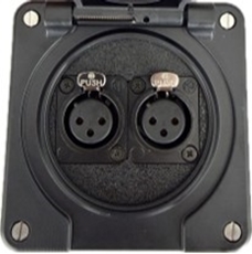 Bild von proDT 2XI UP IP sw | Unterputzanschluss proDT® mit 2x XLR Input female auf Dante, EDIZIOdue IP21, schwarz
