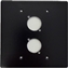 Bild von AZ D-SERIE 2.2 sw | Abdeckplatte Dual-/2-Gang mit 2x Ausschnitt D-Serie für 19" Panel BB-PLT-PNL, schwarz